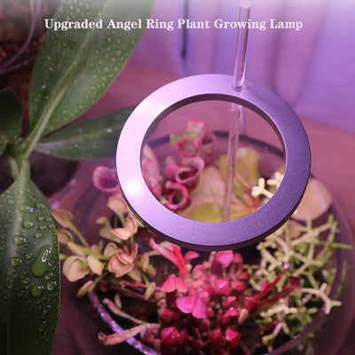 LED Grow Light Full Spectrum Ring  USB Phytolamp För växter 5V Lampa Inomhus